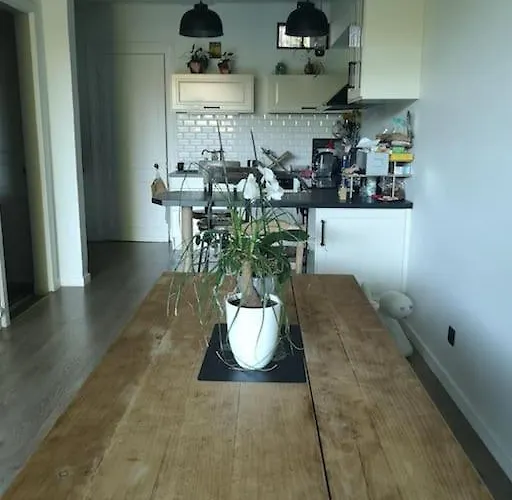Echoppe Bordelaise Avec Jardin Et Piscine Villa *